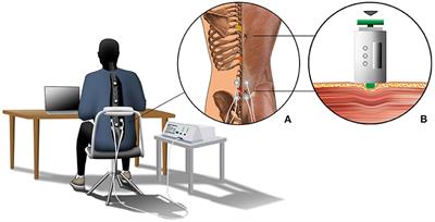 Sitting for Too Long, Moving Too Little: Regular Muscle Contractions Can Reduce Muscle Stiffness During Prolonged Periods of Chair-Sitting